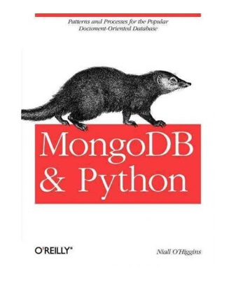 MongoDB and Python